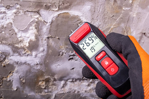 Mold Remediation for Specific Building Types