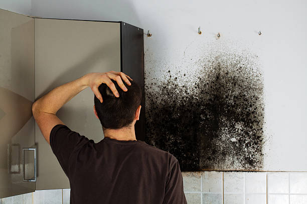 Best Post-Flood Mold Remediation in Fairchild Af, WA
